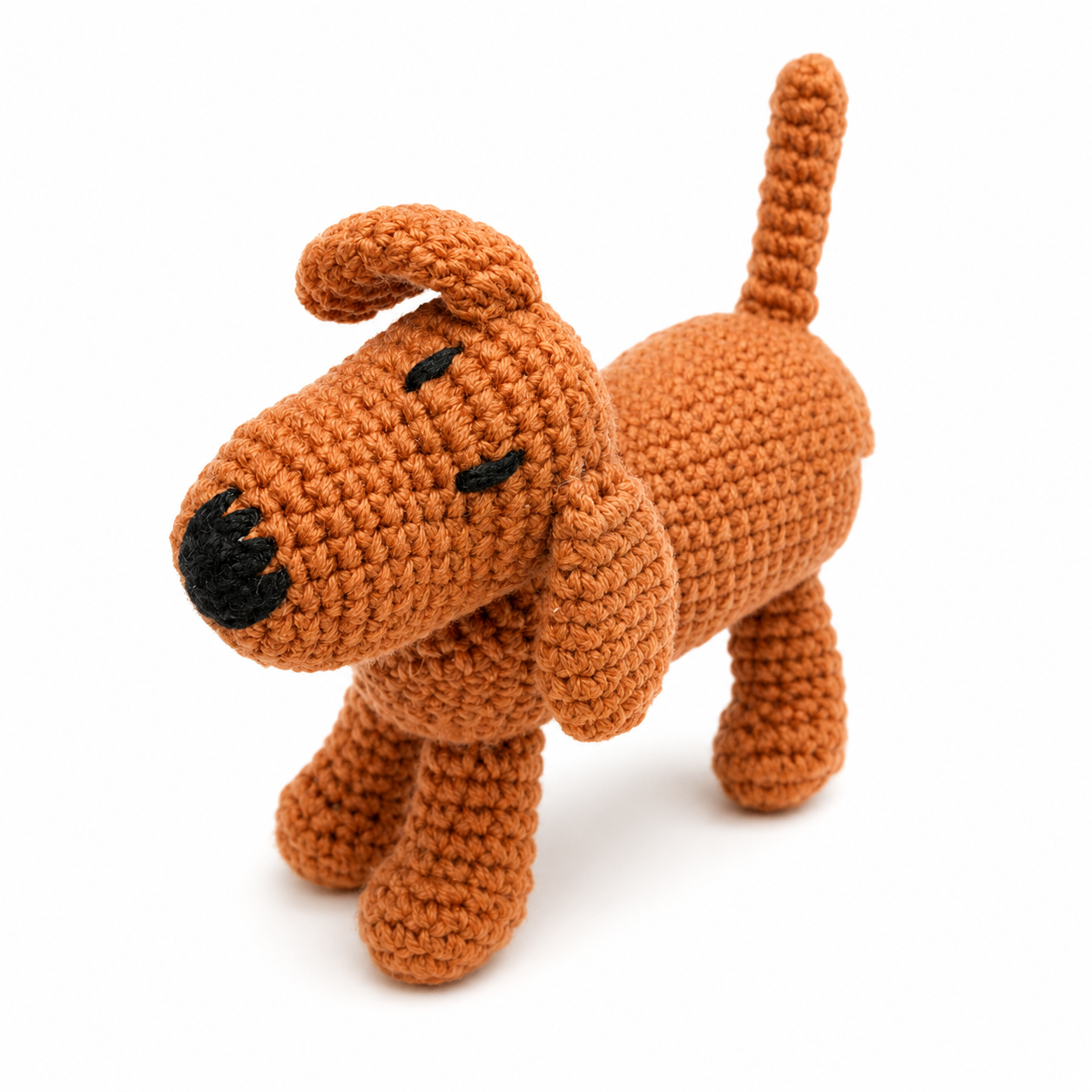 Perro